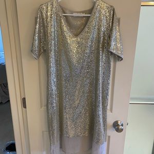 Silver Sequins Dress